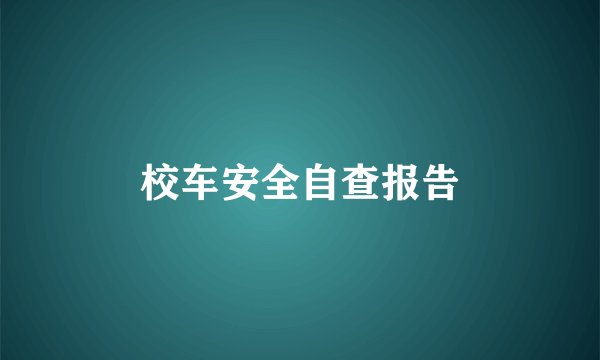 校车安全自查报告
