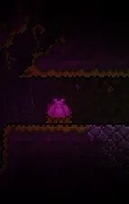 《泰拉瑞亚》世纪之花召唤方法 世纪之花如何召唤