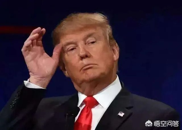 星巴克前CEO欲参加总统竞选，特朗普怎么回应的？你怎么看？