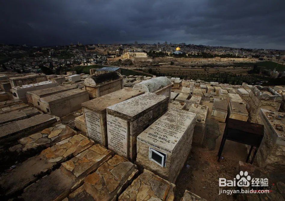 龙摄天下摄影团