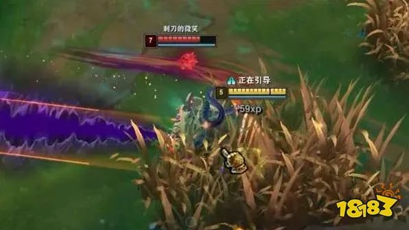 ap龙龟出装无限火力 lol无限火力龙龟出装