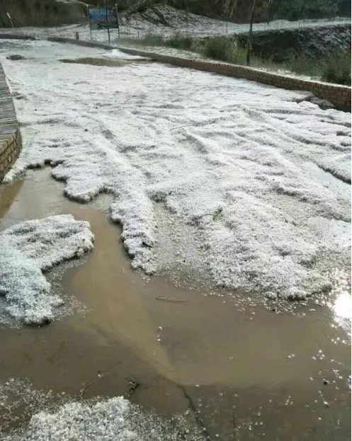 多图陕西榆林遭冰雹情况怎么样？