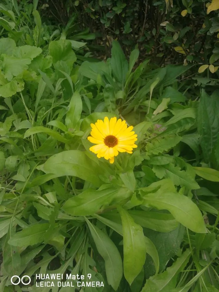 自然丰胸的最快方法--4招丰胸法