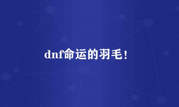dnf命运的羽毛！