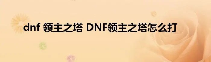 dnf 领主之塔 DNF领主之塔怎么打