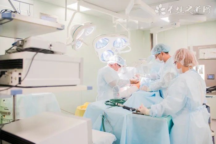 疯狗半小时内连伤6人 养犬人如何文明养狗