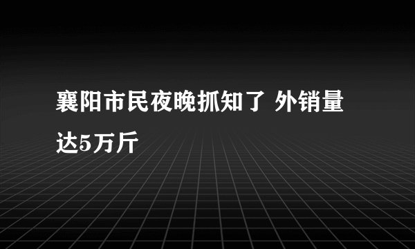 襄阳市民夜晚抓知了 外销量达5万斤