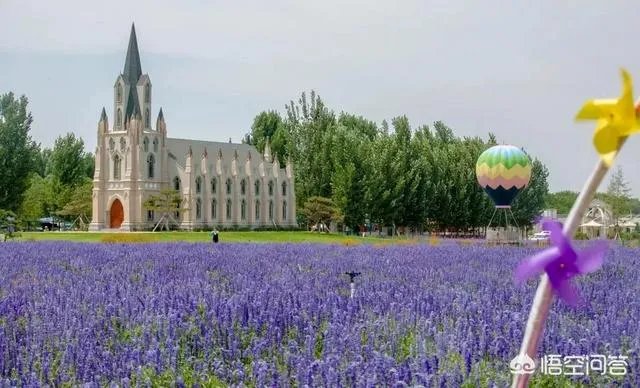 今年五一放假四天时间你准备去哪里玩呢？