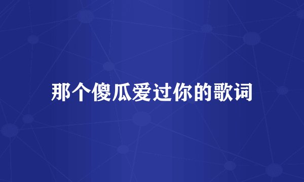 那个傻瓜爱过你的歌词