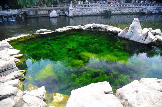 今年五一放假四天时间你准备去哪里玩呢？