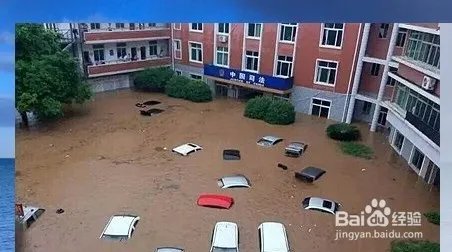 查看网页源文件