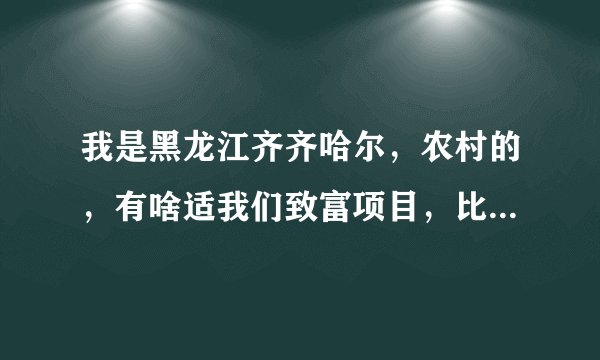 我是黑龙江齐齐哈尔，农村的，有啥适我们致富项目，比如养殖，种植，