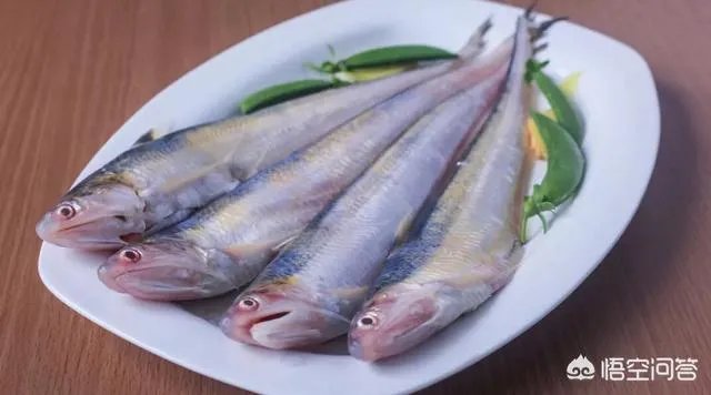 长江刀鱼养殖已经成功几年了,为什么有人说在市场上没有见到?