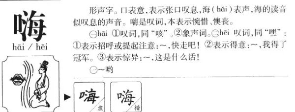 嗨是什么意思呀?