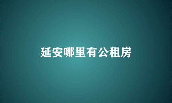 延安哪里有公租房