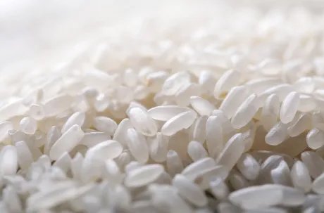 延寿大米和五常大米的区别