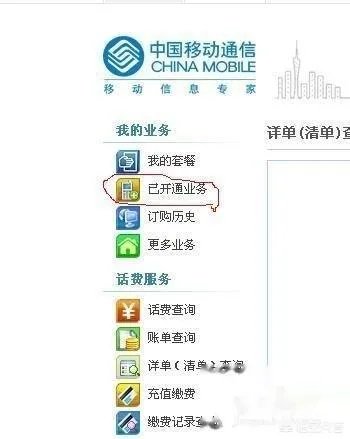 如何查询手机业务？