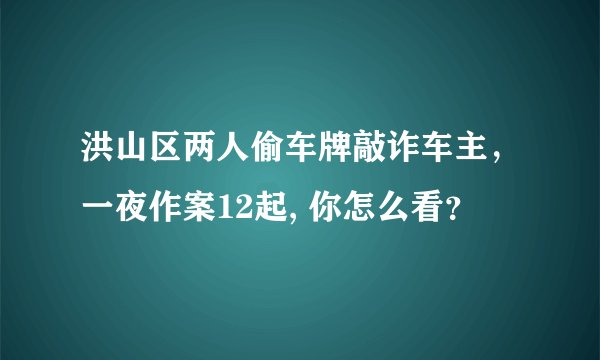 洪山区两人偷车牌敲诈车主，一夜作案12起, 你怎么看？