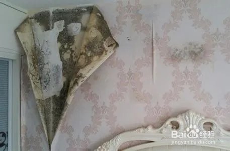 工具绘墙景项目可行性如何