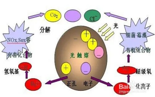 如何祛除装修污染