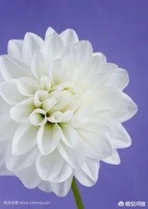 信阳乡村女教师用身体挡住学生，不幸被撞身亡，你怎么看？