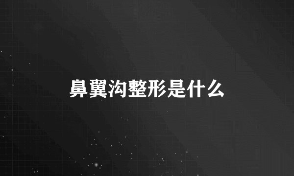 鼻翼沟整形是什么