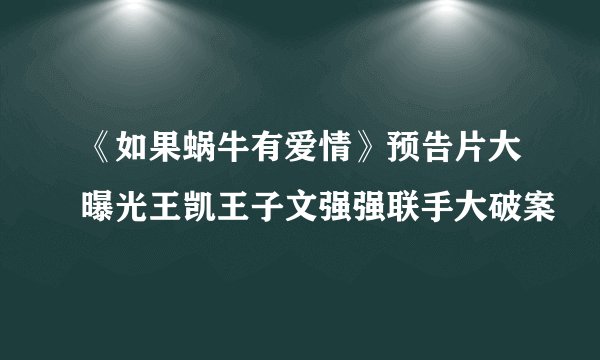 《如果蜗牛有爱情》预告片大曝光王凯王子文强强联手大破案