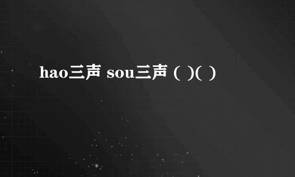 hao三声 sou三声 ( )( )
