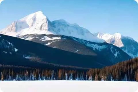 有个歌词里面有 宝贝 我爱你 我想和你在一起 好多遍