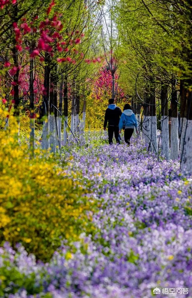 今年五一放假四天时间你准备去哪里玩呢？