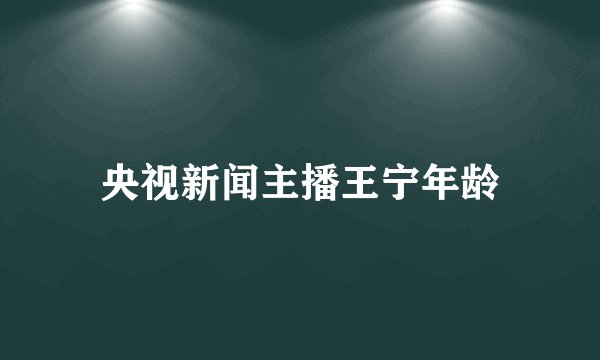 央视新闻主播王宁年龄