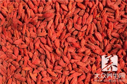 鲜枸杞怎么吃最好