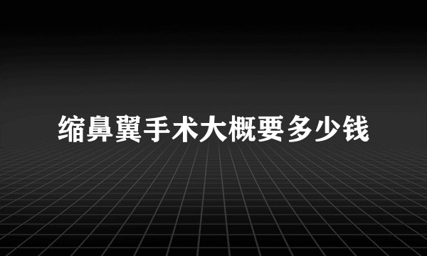 缩鼻翼手术大概要多少钱