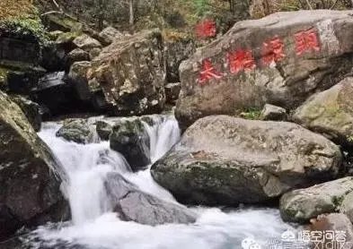 杭州有棵2015岁古柏，被好多人认做干爹，你怎么看？