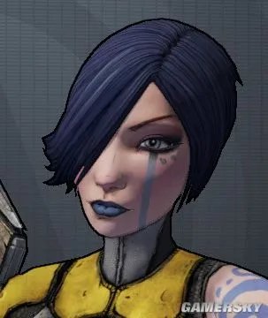 《无主之地2》全职业皮肤及头型收集攻略 全职业皮肤获取方法