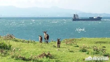 长乐东洛岛值得一去吗？