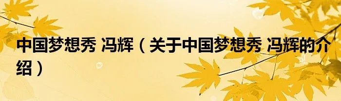 中国梦想秀 冯辉（关于中国梦想秀 冯辉的介绍）