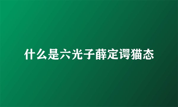 什么是六光子薛定谔猫态