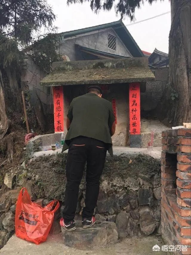 杭州有棵2015岁古柏，被好多人认做干爹，你怎么看？