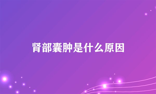 肾部囊肿是什么原因