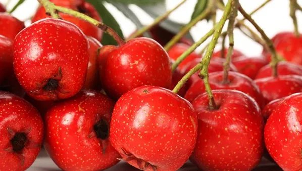 怀孕初期饮食注意禁忌