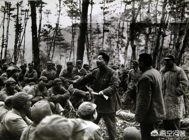 相声小蘑菇先生