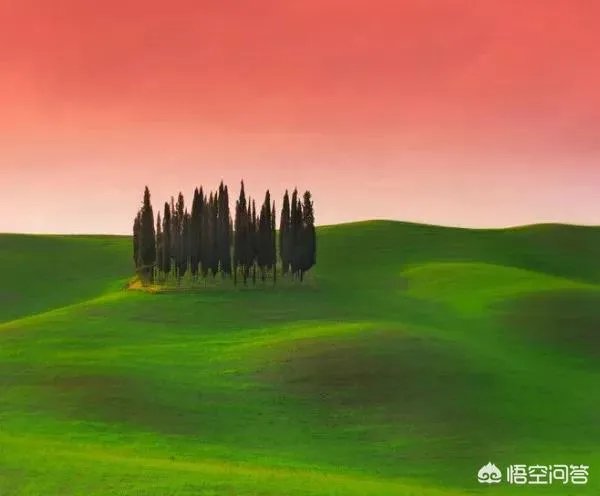 广州警方开展收网行动，成功摧毁“云联惠”特大网络传销犯罪团伙，警方要求云联惠的成员限期投案自首，你怎么看？