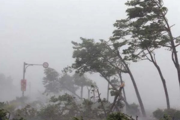 今年的2号台风即将生成，台风的形成都需要哪些条件？