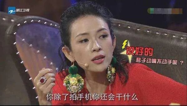 网上怎么看不到浙江卫视《演员的诞生》的综艺节目了?