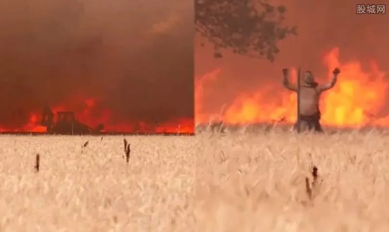 男子开挖掘机挖沟挡山火衣服被烧光 身上严重烧伤令人唏嘘
