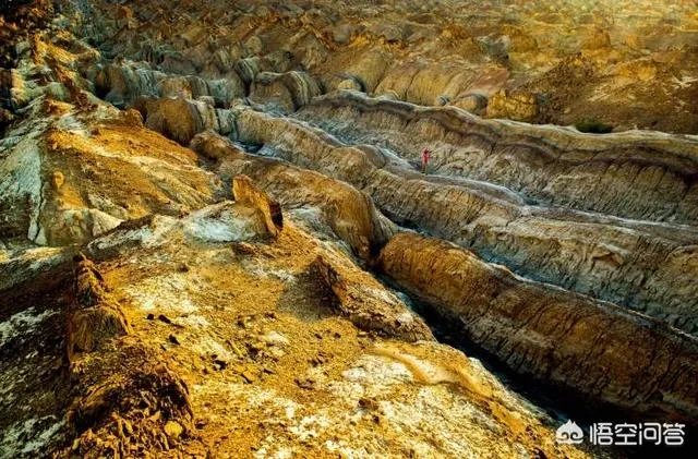 今年五一放假四天时间你准备去哪里玩呢？