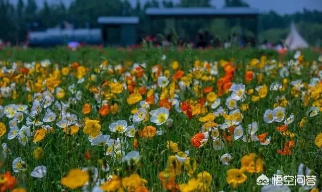 今年五一放假四天时间你准备去哪里玩呢？
