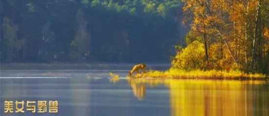 《美女与野兽》曝剧照