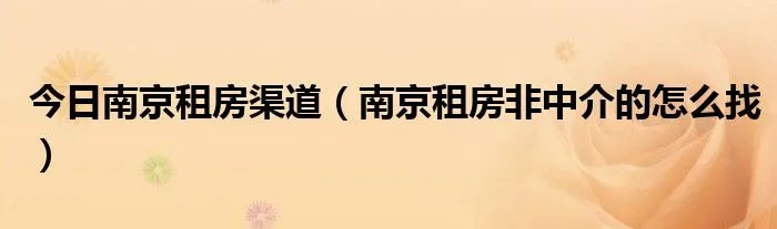 今日南京租房渠道（南京租房非中介的怎么找）